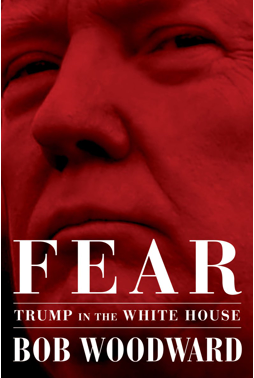 FEAR ~ Trump In the Whie House