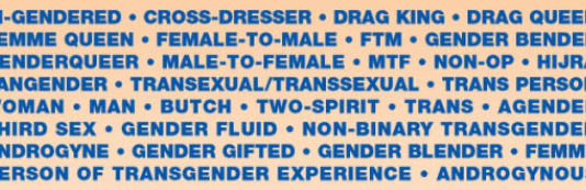 NY Pride Genders