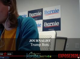 Project Veritas Bernie Sanders Campaign Staffers Promoting Extreme Action